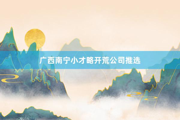 广西南宁小才略开荒公司推选