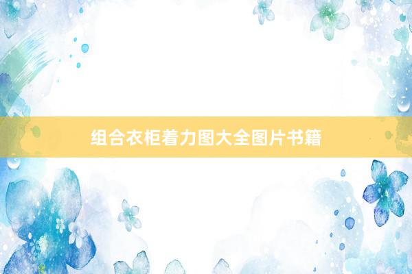 组合衣柜着力图大全图片书籍