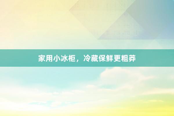 家用小冰柜，冷藏保鲜更粗莽