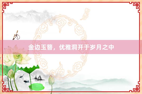 金边玉簪，优雅洞开于岁月之中