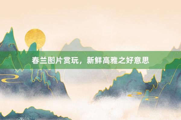 春兰图片赏玩，新鲜高雅之好意思